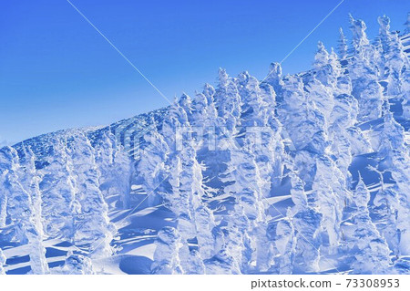 山形縣的冰與藍天山形縣山形市 73308953