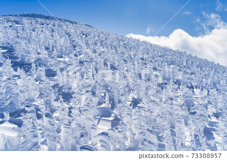 Yamagata Zao's tree ice and blue sky Yamagata City, Yamagata Prefecture Yamagata Zao's tree ice and blue sky Yamagata City, Yamagata Prefecture 73308957