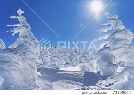 Yamagata Zao's tree ice and blue sky Yamagata City, Yamagata Prefecture 73309003