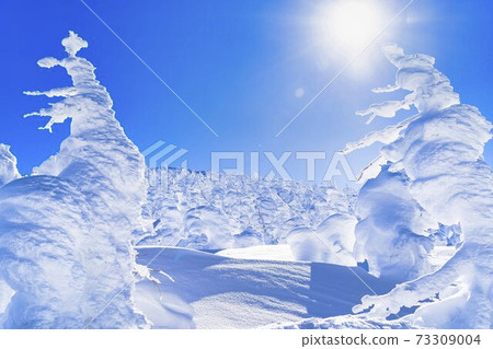 Yamagata Zao's tree ice and blue sky Yamagata City, Yamagata Prefecture Yamagata Zao's tree ice and blue sky Yamagata City, Yamagata Prefecture 73309004