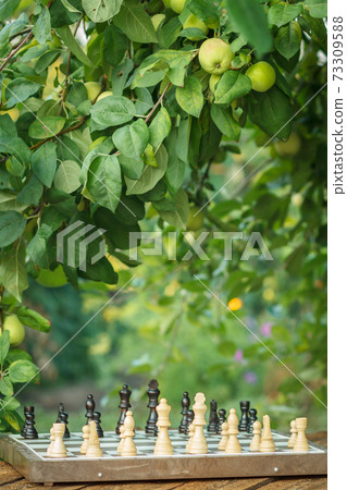 Chess board with chess pieces on wooden desk with branch of apple tree and green leaves on the background. Chess board with chess pieces on wooden desk with branch of apple tree and green leaves on the background. 73309588