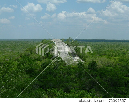 Calakmul Ruins on a Trip to Mexico Calakmul Ruins on a Trip to Mexico 73309867