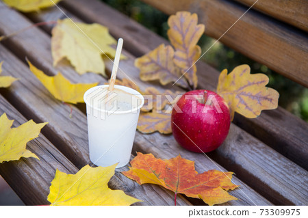 Bench with cup of coffee, apple and dry leaf in the city park in autumn. 73309975