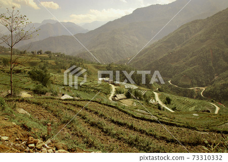 Traditional terraced rice paddy in Ha giang Province in Vietnam 73310332