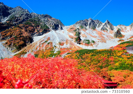 Karasawa of autumn leaves 73310560