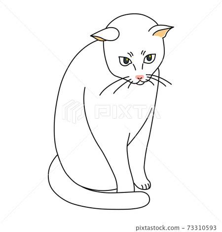 White cat sitting still 73310593