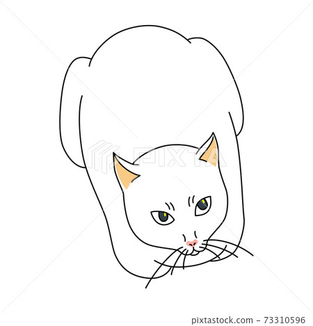 Crouching white cat 73310596
