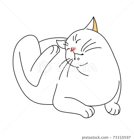 White cat scratching his head 73310597