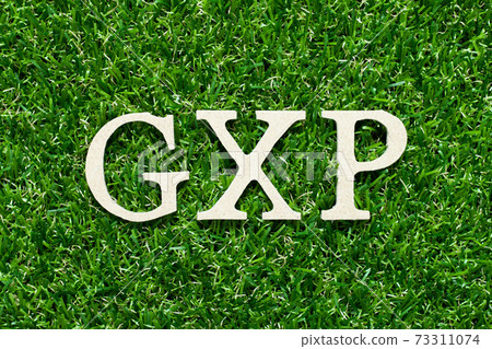 Wood alphabet letter in word GXP on green grass background 73311074