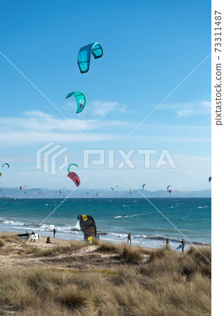 Many kite surfers with their kite parachutes in the air on the beach of Tarifa Many kite surfers with their kite parachutes in the air on the beach of Tarifa 73311487