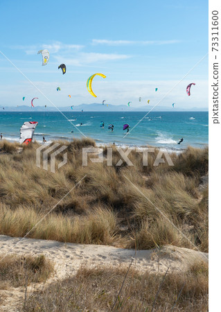 Many kite surfers with their kite parachutes in the air on the beach of Tarifa Many kite surfers with their kite parachutes in the air on the beach of Tarifa 73311600