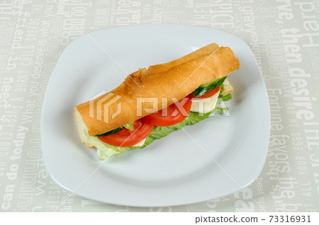 Homemade and delicious looking cheese sandwich, worthy of a full mouth 73316931