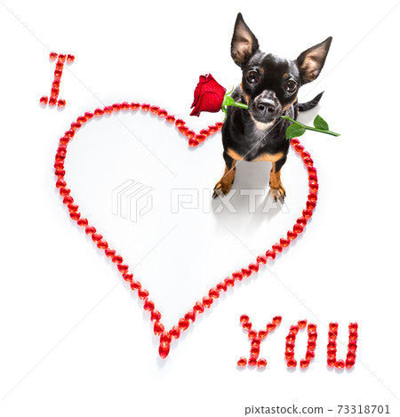 dog valentines love heart dog valentines love heart 73318701