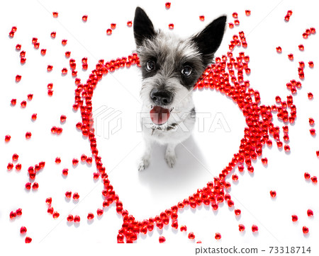 dog valentines love heart dog valentines love heart 73318714