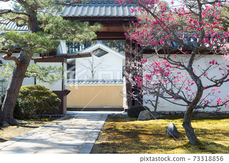 束草寺塔頭，豐子寺大門和紅梅 73318856