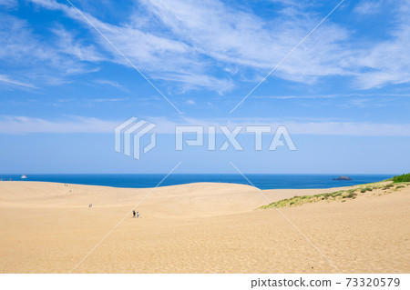Tottori sand dunes 73320579