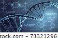 DNA double helix illustration. Human DNA spiral formed from nucleotide molecules. Perfect to use as a background for science, biotechnology or genetics. Blue version. 3D rendering 73321296