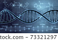 DNA double helix illustration. Human DNA spiral formed from nucleotide molecules. Perfect to use as a background for science, biotechnology or genetics. Blue version. 3D rendering 73321297