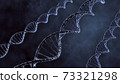 DNA double helix illustration. Human DNA spiral formed from nucleotide molecules. Perfect to use as a background for science, biotechnology or genetics. Blue version. 3D rendering 73321298