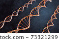 DNA double helix illustration. Human DNA spiral formed from nucleotide molecules. Perfect to use as a background for science, biotechnology or genetics. Blue version. 3D rendering 73321299