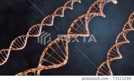 DNA double helix illustration. Human DNA spiral formed from nucleotide molecules. Perfect to use as a background for science, biotechnology or genetics. Blue version. 3D rendering DNA double helix illustration. Human DNA spiral formed from nucleotide molecules. Perfect to use as a background for science, biotechnology or genetics. Blue version. 3D rendering 73321299