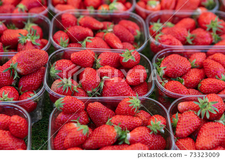 display of strawberry trays 73323009