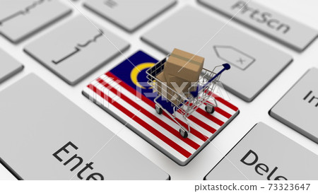 Key with flag of Malaysia and shopping cart with boxes, internet business related 3d rendering 73323647