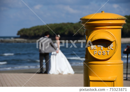 Bride in yellow post and wedding dress Bride in yellow post and wedding dress 73323871