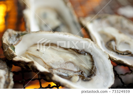 木炭烤牡蠣 73324939