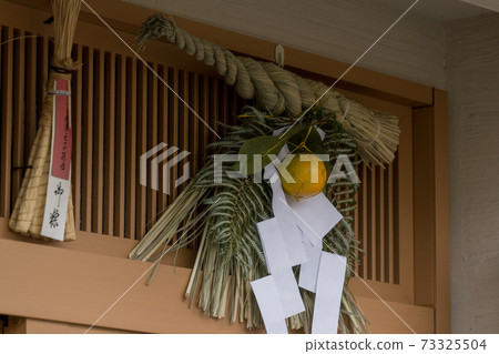 New Year 's fancy 73325504