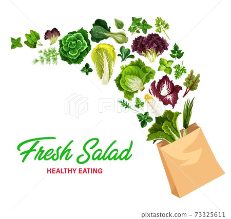 Greenery salads and greens in vector shopping bag 73325611