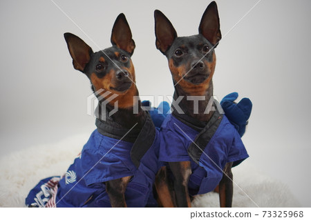 微型平夏新年節日快樂的日本風格照片28 73325968