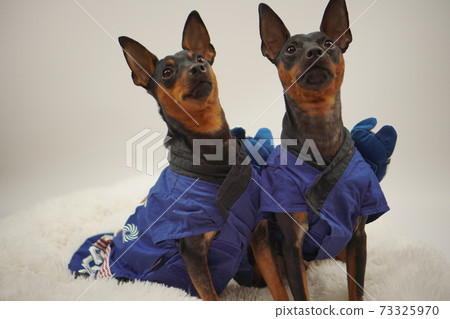 微型平夏新年節日快樂的日本風格照片30 73325970