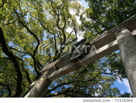 山口縣Ha市春日神社鳥居 73326364