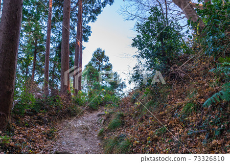 Image of winter forest road and mountain trail Image of winter forest road and mountain trail 73326810