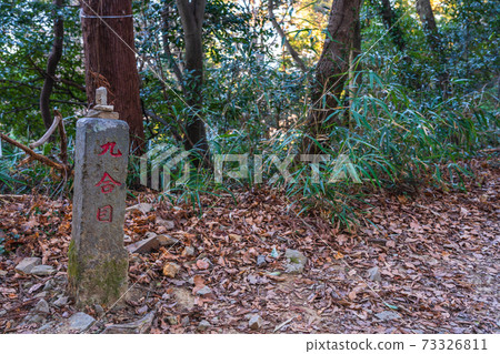 Image of winter forest road and mountain trail Image of winter forest road and mountain trail 73326811