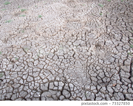 Barren ground horizontal 73327850