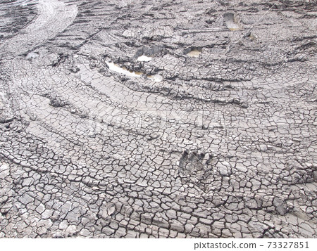 Barren ground horizontal 73327851