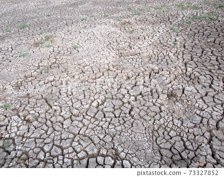 Barren ground horizontal 73327852