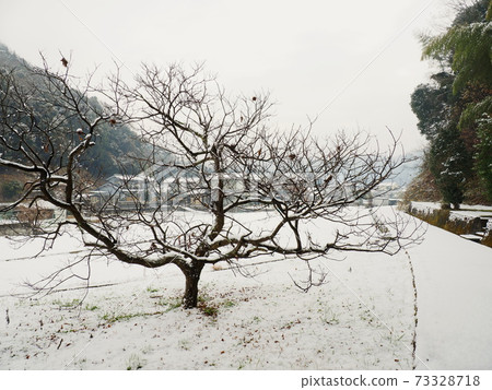 白雪皚皚的鄉村,人行道 白雪皚皚的鄉村,人行道 73328718