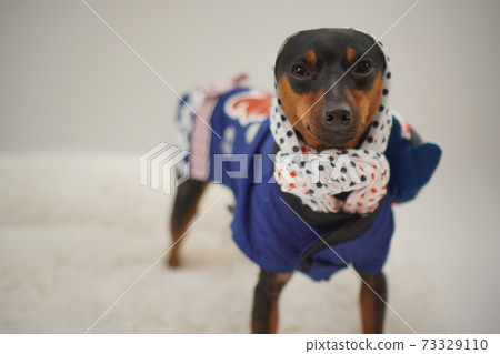 微型平郡新年節快樂的日本風格照片191 73329110