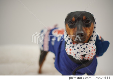 微型平郡新年節快樂的日本風格照片191 73329111