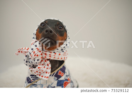 微型平郡新年節快樂的日本風格照片192 微型平郡新年節快樂的日本風格照片192 73329112