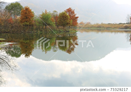 Autumn scenery, colored by the lake 73329217