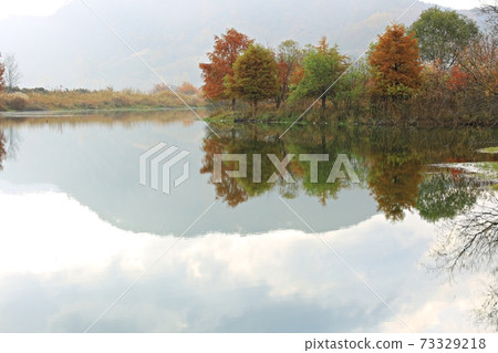 Autumn scenery, colored by the lake 73329218