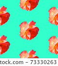 Seamless pattern with roses on a turquoise background 73330263