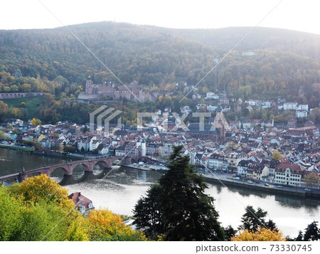 Heidelberg old town in the morning haze Heidelberg old town in the morning haze 73330745