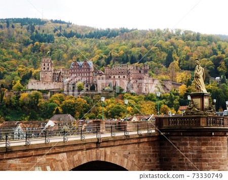 Heidelberg Castle and Old Bridge Heidelberg 73330749
