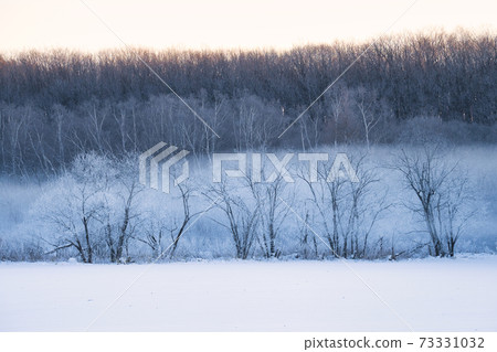  Foggy ice 73331032