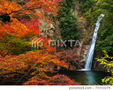秋天的落葉和努諾比基瀑布（女瀑布） 73331074